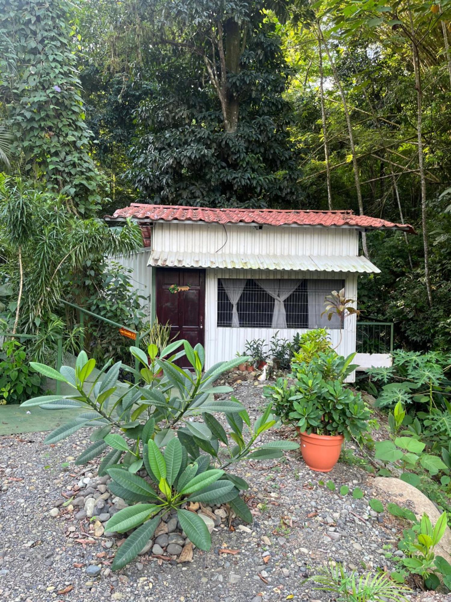 Casa Escondida Apartments Manuel Antonio Bagian luar foto